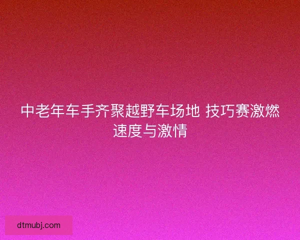 中老年车手齐聚越野车场地 技巧赛激燃速度与激情 中老年车手齐聚越野车场地 技巧赛激燃速度与激情