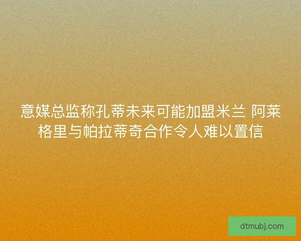意媒总监称孔蒂未来可能加盟米兰 阿莱格里与帕拉蒂奇合作令人难以置信