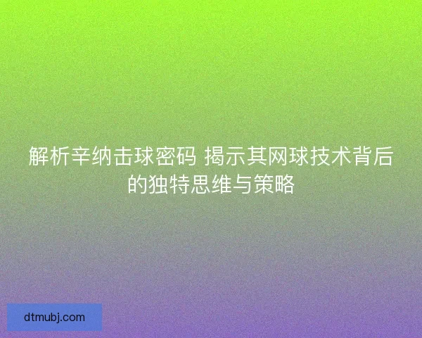 解析辛纳击球密码 揭示其网球技术背后的独特思维与策略